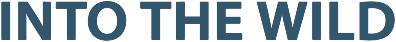 Logo Into The Wild